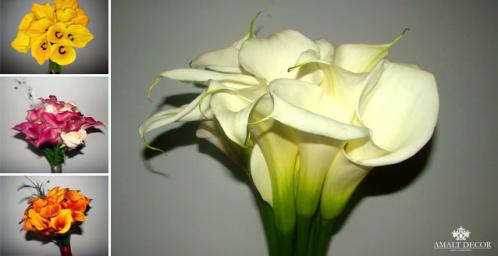 [Image #6]
