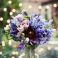 [Image #9]