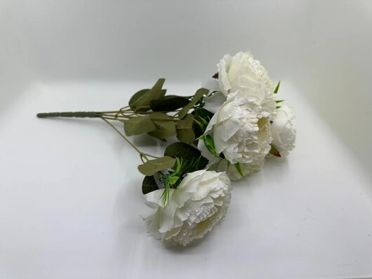 [Image #4]