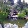 [Image #8]