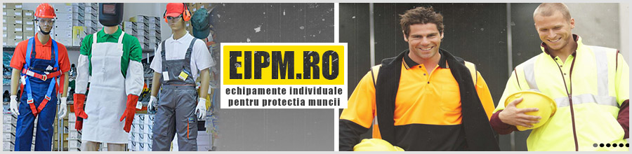 EIPM.ro Logo