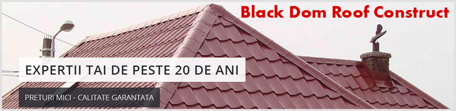 Black Dom Roof Construct - Acoperisuri durabile Logo