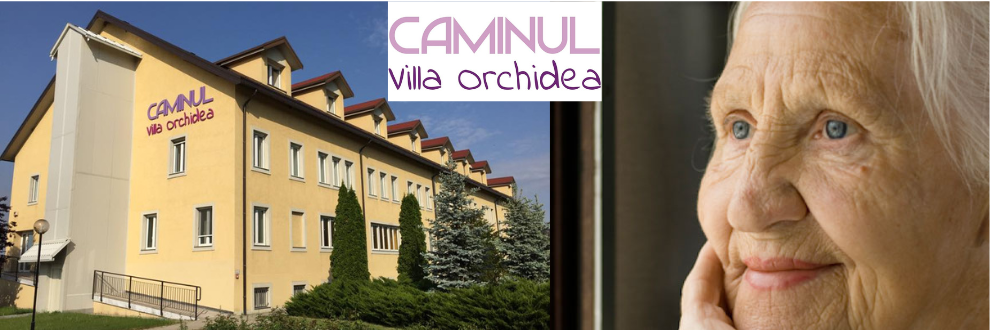 Caminul Villa Orchidea - Dambovita Logo