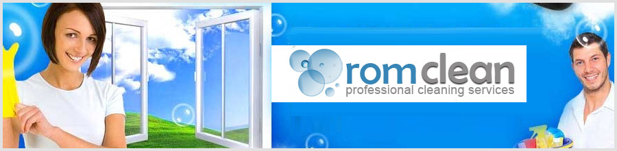 ROM CLEAN Logo