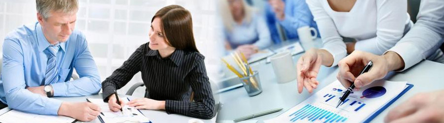 Ziberline Consulting Contabilitate, audit si servicii conexe Cluj Logo