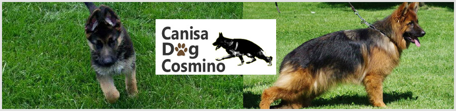 CANISA DOG COSMINO Logo