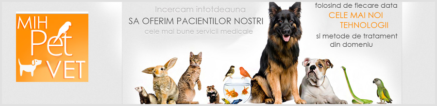 Cabinet veterinar si farmacie veterinara MihPetVet Fetesti Logo