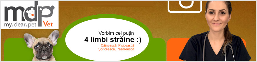 MDP Vet-cabinet veterinar-Bucuresti Logo