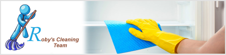 Nicolas & Roby Style - Cleaning team Logo