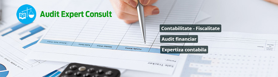 Audit Expert Consult - Contabilitate, expertiza fiscala, salarizare, Iasi Logo