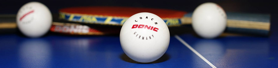 Ping pong Miramar - Tenis de masa Bucuresti Logo