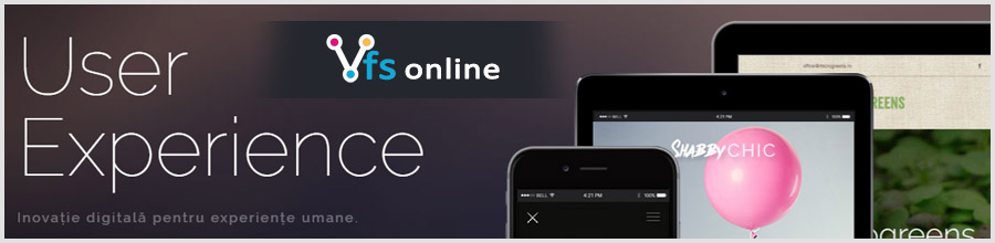 VFS Online Logo