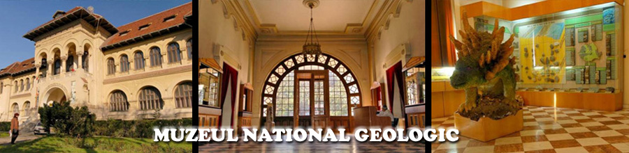 Muzeul National de Geologie - Bucuresti Logo