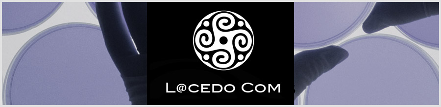 Lacedo Com - consiliere Management Operational Bucuresti Logo