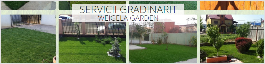 Weigela Garden / Bragadiru / Ilfov - Servicii profesionale de amenajari gradini Logo