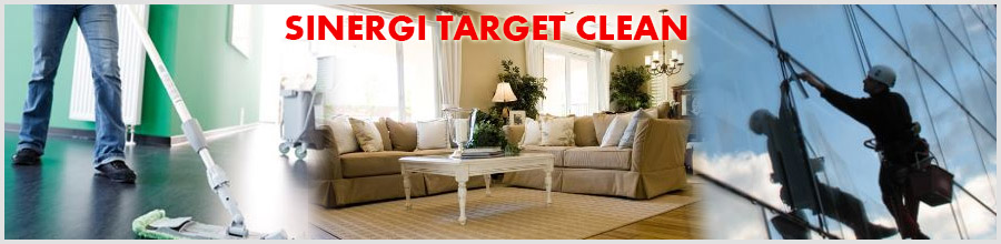 Sinergi Target Clean - sevicii curatenie Logo