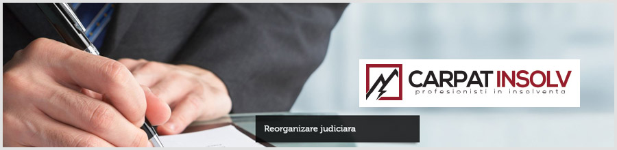 Carpat Insolv - Profesionisti in Insolventa Bucuresti Logo