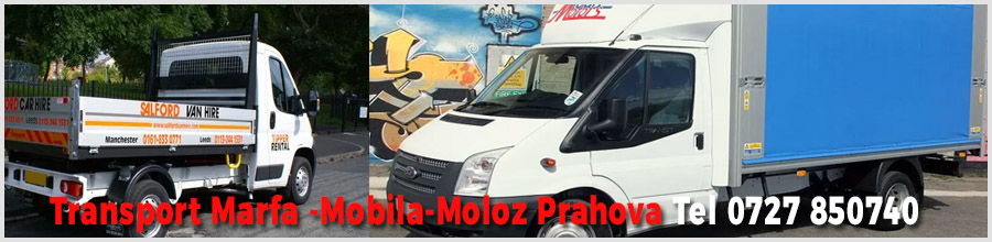 Transport-Mobila-Moloz-Ploiesti.ro Logo
