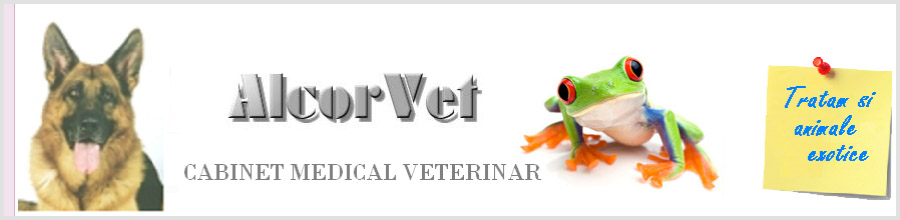 Alcor Vet - Cabinet veterinar, Bucuresti Logo