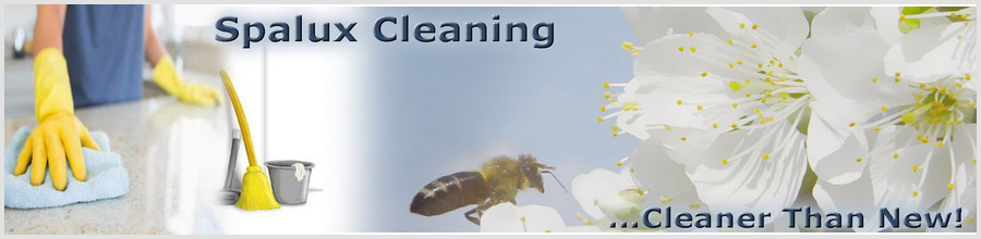 SPALUX CLEANING Logo