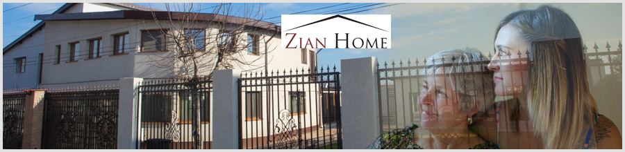 Camin de Batrani Zian Home Domnesti-Ilfov Logo