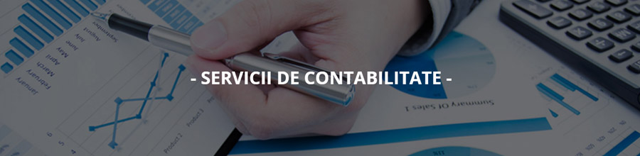 Caro Consulting - Contabilitate si consultanta fiscala, Dobroesti / Ilfov Logo