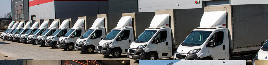 Nan Logistic - Transport marfa si persoane, depozitare logistica, Magurele / Ilfov Logo