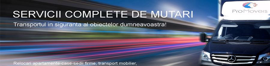 Pro Movers - servicii profesionale de mutari si transport Bucuresti Logo