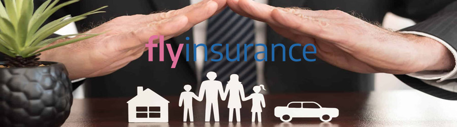 Fly Insurance - Broker de Asigurare Reasigurare Logo