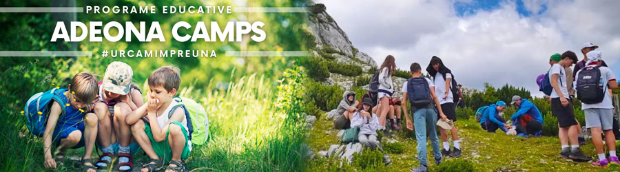 Adeona Camps - Organizeaza tabere si excursii la munte pentru copii si elevi Logo