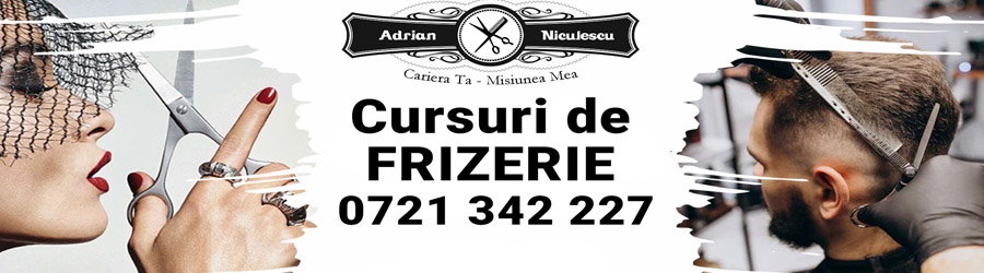 Cursuri coafor Bucuresti - Scoala de Hairstyling Logo
