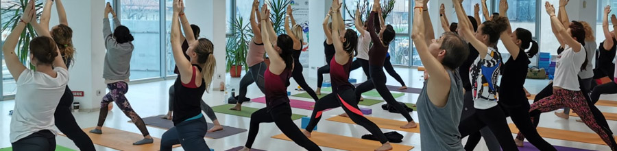 Yoga Academy Romania - Curs instructor de yoga, Bucuresti Logo