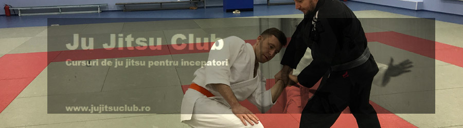 Ju Jitsu Club - Cursuri de Ju Jitsu pentru incepatori Logo