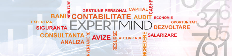 Expert Mind - Infiintari firme, servicii contabile si juridice, Bucuresti Logo