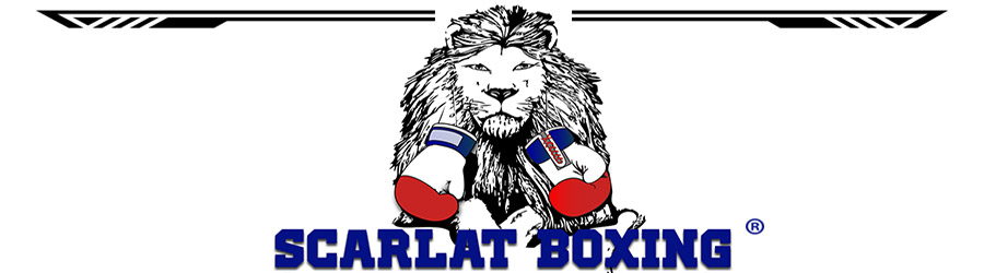 Alex Scarlat Box Club - Bucuresti Logo