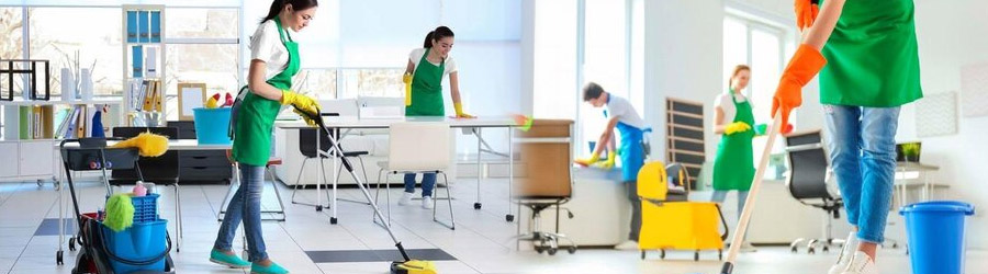 Cristem Cleaning - Servicii profesionale de curatenie Bucuresti Logo