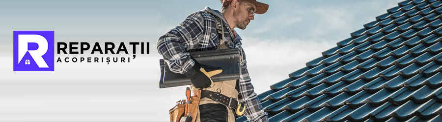 Profesionisti in reparatii si montaj acoperisuri Logo
