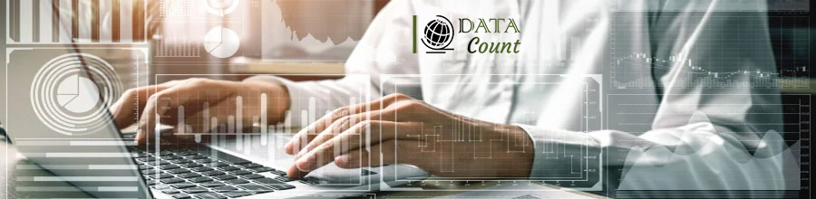 Data Count Financial - Servicii contabilitate Logo