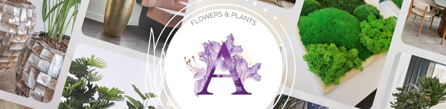 AZAY DESIGN - Flowers & Plants Design interior cu plante Logo