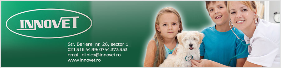 Innovet - Cabinet Veterinar, farmacie veterinara Bucuresti Logo