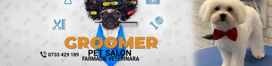 Groomer - Salon de cosmetica felina si canina, Bucuresti Logo