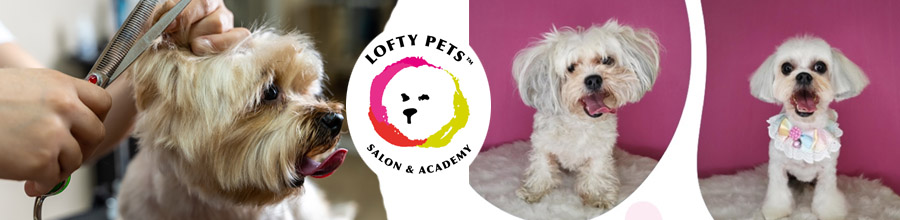 Lofty Pets - Salon cosmetica pentru animale de companie Logo