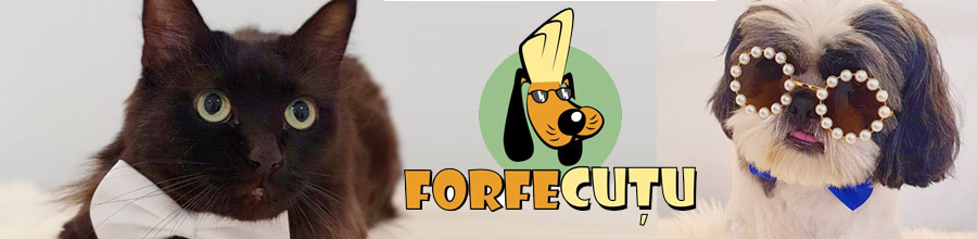 Forfecutu - Salon canin si felin Bucuresti Logo