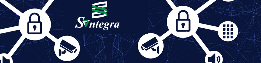 Syntegra Security - Sisteme complexe de securitate Logo