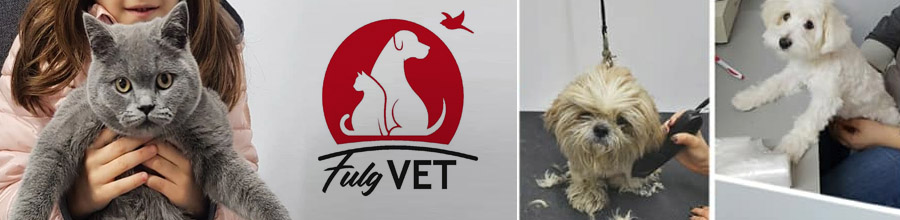 Fulgvet - Cabinet veterinar Bucuresti Logo