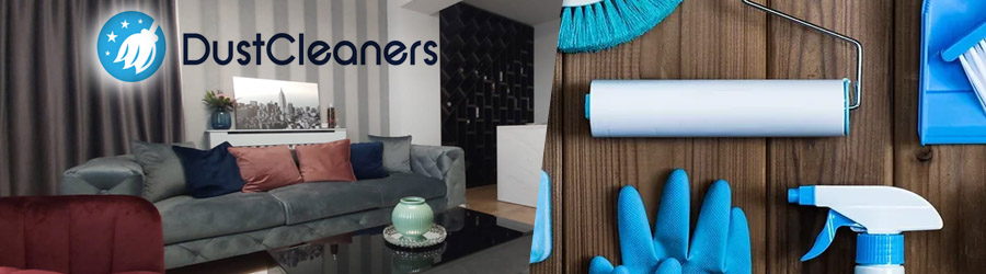 Dust Cleaners - Servicii de curatenie, Bucuresti Logo