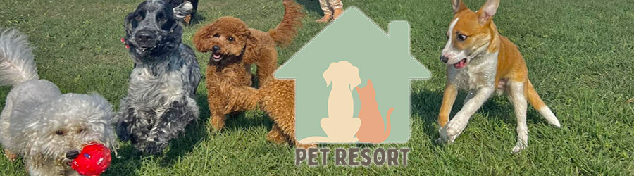 Pet Resort - Hotel animale companie Logo