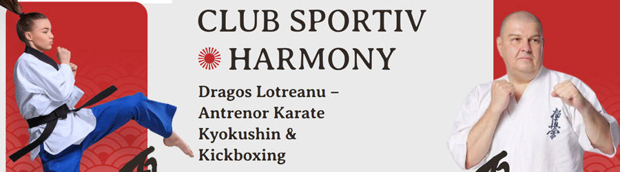 Harmony Dojo - cursuri autoaparare, karate, arte martiale copii & adulti Logo