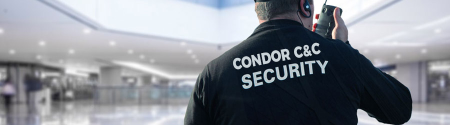 Condor C&C Security - Servicii complete paza si protectie Logo