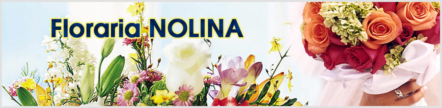 FLORARIA NOLINA Logo